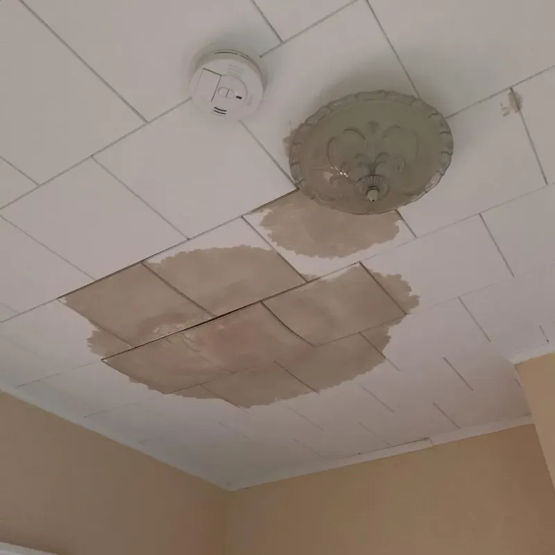Ceiling Water Damage Repair in Hazel Dell, WA