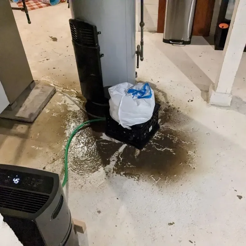 Sewage Backup Cleanup Service in Hazel Dell, WA